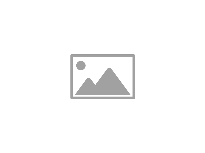 Test Video Cat